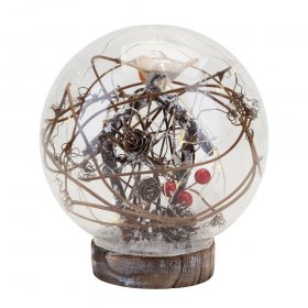 Glass Dome With Robin And Led Lights 16cm